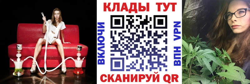 Где купить наркотики Александровское Псилоцибиновые грибы  Кокаин  СК  Марихуана  Меф мяу мяу  ГАШ 
