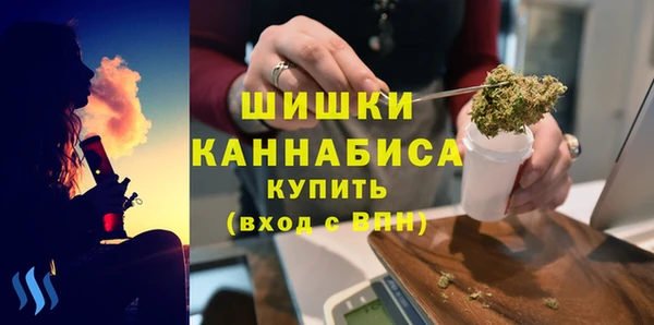 шишки Алзамай