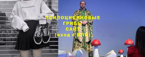 шишки Алзамай