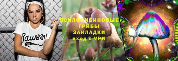шишки Алзамай