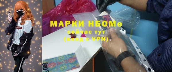 шишки Алзамай