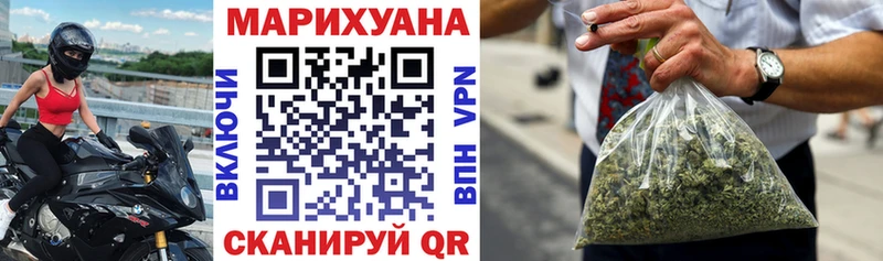 Канабис планчик Александровское